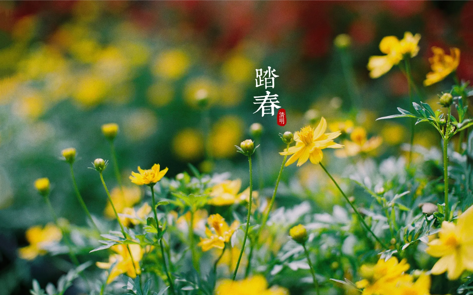 必赢亚洲清明放假通知及温馨提醒
